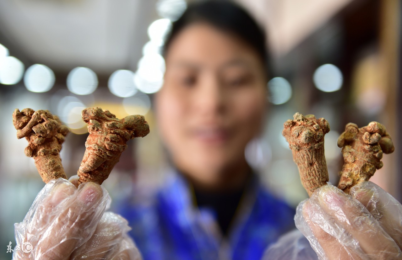 三七选哪种头数好,三七的头数怎么区别