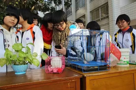 福州杨桥中学和桔园四中哪个好,福州杨桥中学好还是十八中好