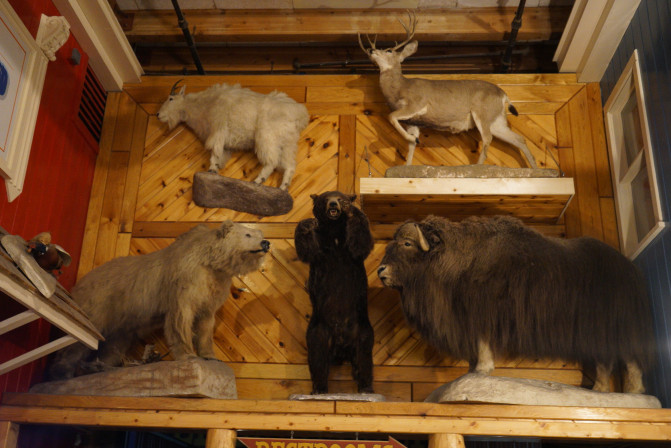 科罗拉多州到洛杉矶,科罗拉多州五月自驾