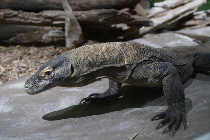 科罗拉多州到洛杉矶,科罗拉多州五月自驾
