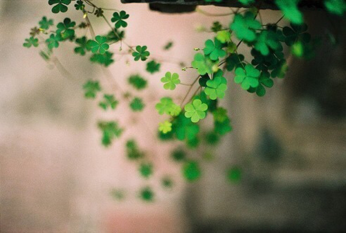 是非不辩即解脱的下一句是什么,是非总以不辩为解脱