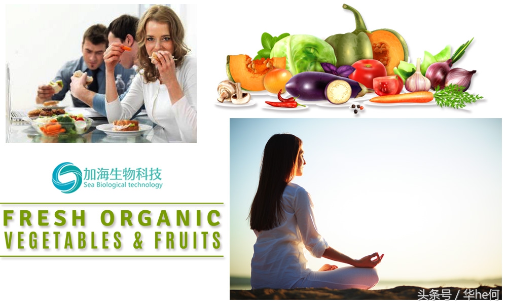 奇力宝酵素饮,奇力宝酵素饮料价格