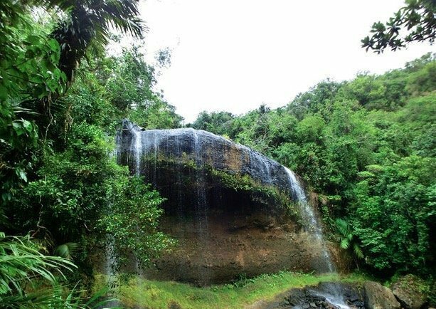 自由行之租匹红色大野马，帅气环帕劳！