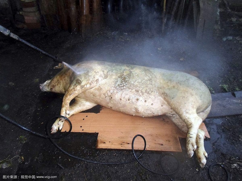 生猪屠宰场涉食品安全案件,猪肉类食品安全事件案例