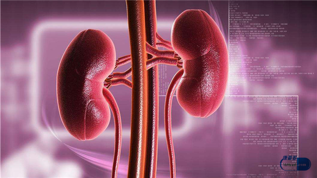 急性肾炎患者一日三餐的最好食谱,急性肾炎日常注意事项