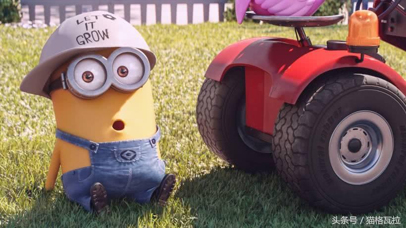 ta可以萌你一脸血不偿命,也有着你不知道的十个秘密