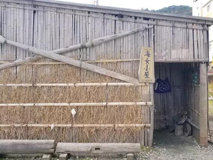 中北部升龙道深度游攻略,日本龙岛旅游攻略