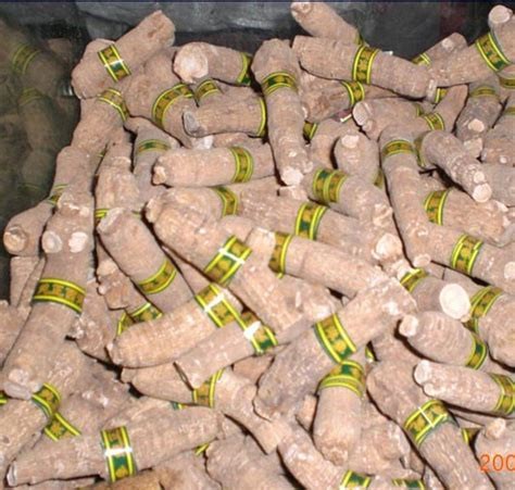 妗傚渾钂歌タ娲嬪弬绂佸繉,瑗挎磱鍙傛瀲鏉烽湶绂佸繉