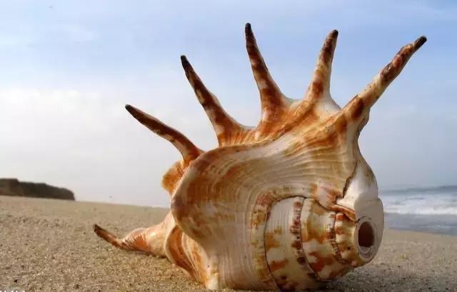 再挑剔的海岛控，也能被长滩岛“治”好！