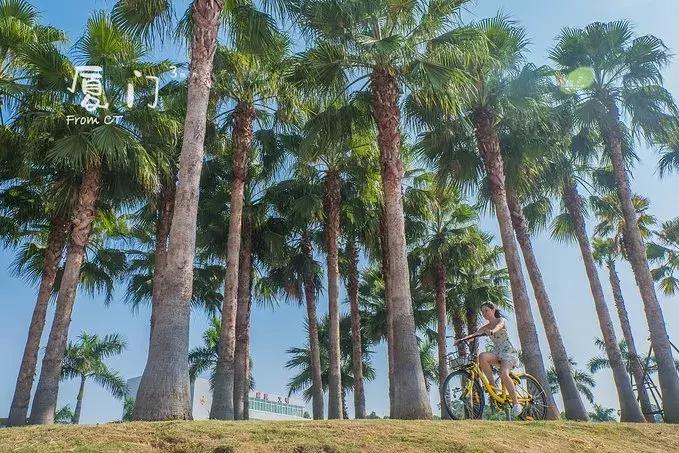 一起去厦门旅游攻略,旅游团厦门看海攻略