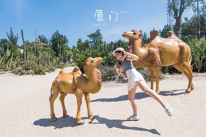 一起去厦门旅游攻略,旅游团厦门看海攻略