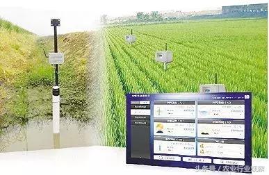 创业小项目农业互联网,农业零成本创业新点子