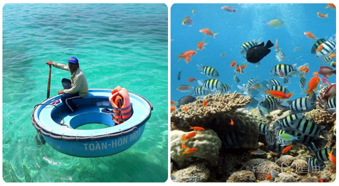 芽庄亲子游自由行攻略,芽庄旅游攻略带小孩