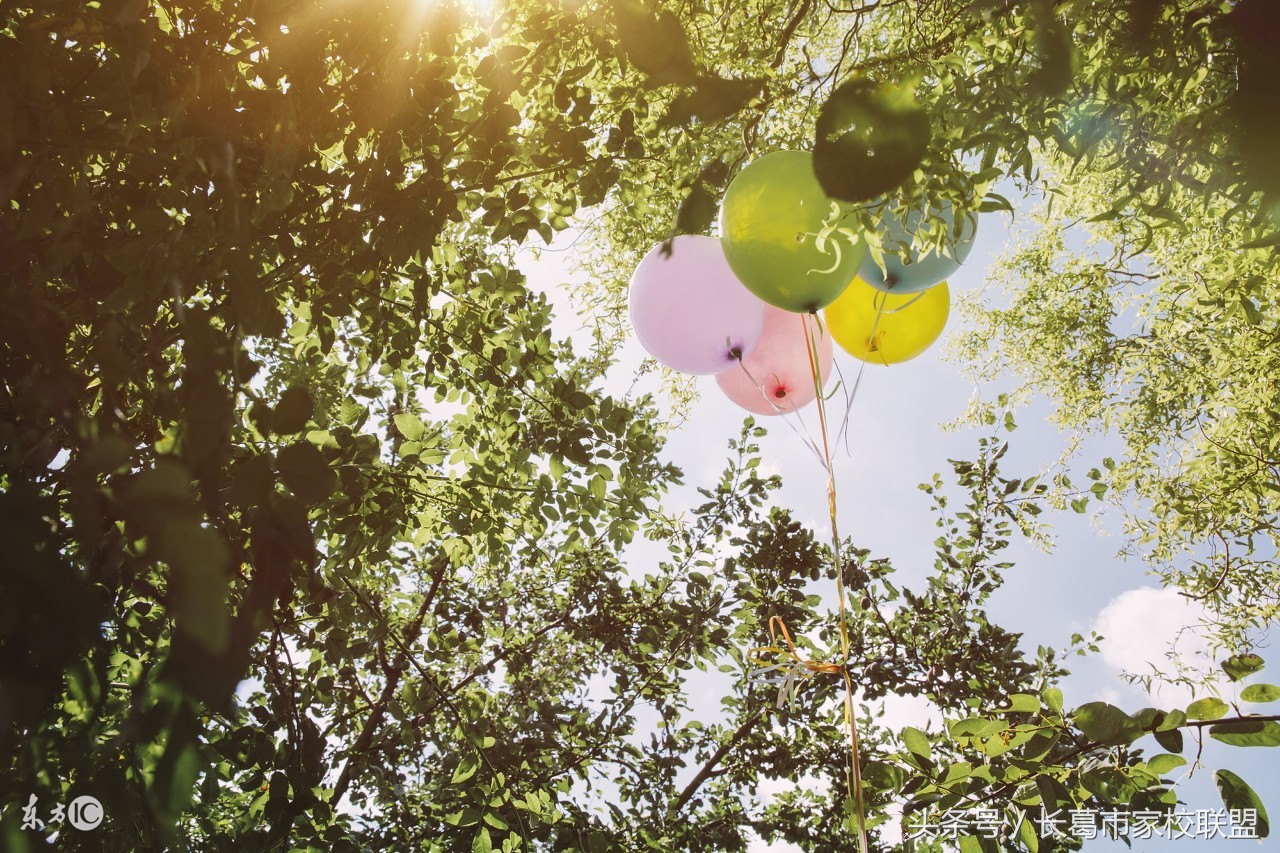 英语学习辅导六年级上册,英语学习辅导八年级