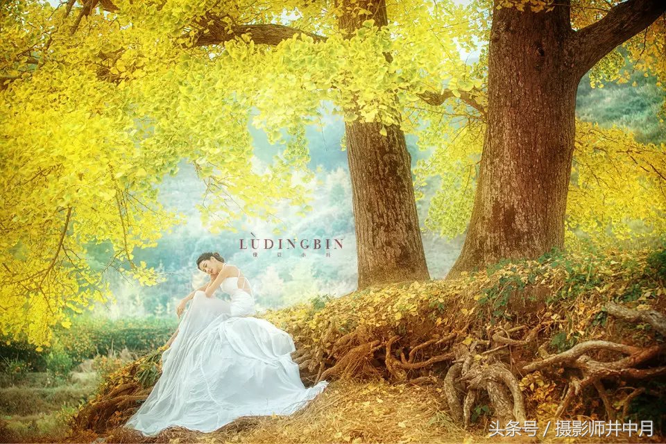 最好的摄影培训班排行榜,全国十大著名摄影培训机构电话