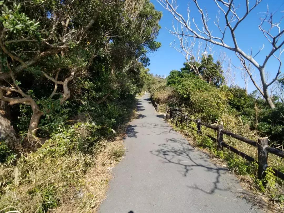 中北部升龙道深度游攻略,日本龙岛旅游攻略