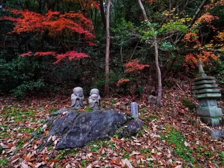 中北部升龙道深度游攻略,日本龙岛旅游攻略