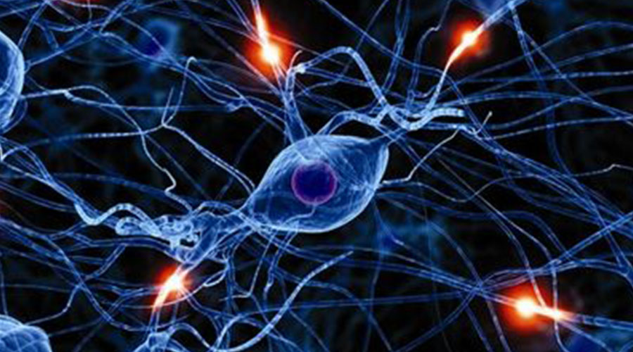 华世佳宝医院怎么样,华世佳宝医院正规吗