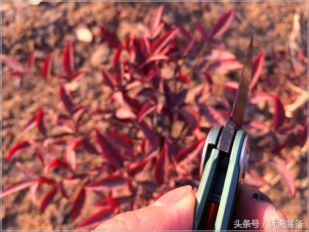 一把小刀的玩具,一把小巧的小刀