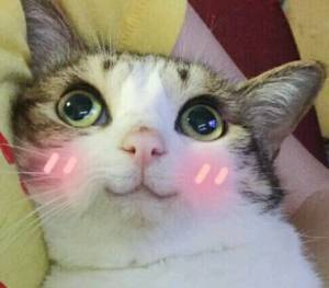 又一款厉害的独立游戏？《艾彼》的机器人之旅