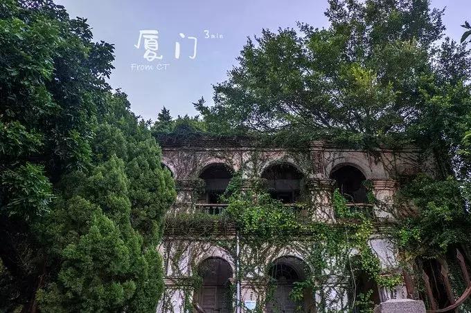 一起去厦门旅游攻略,旅游团厦门看海攻略