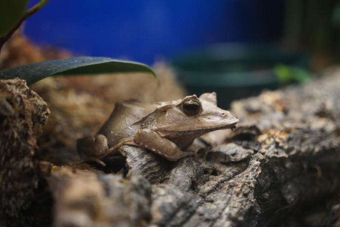 科罗拉多州到洛杉矶,科罗拉多州五月自驾