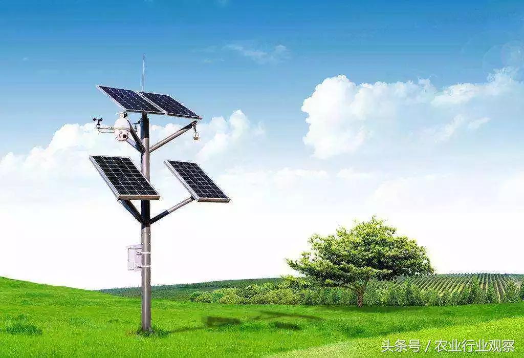 创业小项目农业互联网,农业零成本创业新点子