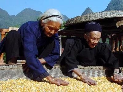 巴马长寿村的秘密大公开,大美巴马长寿村