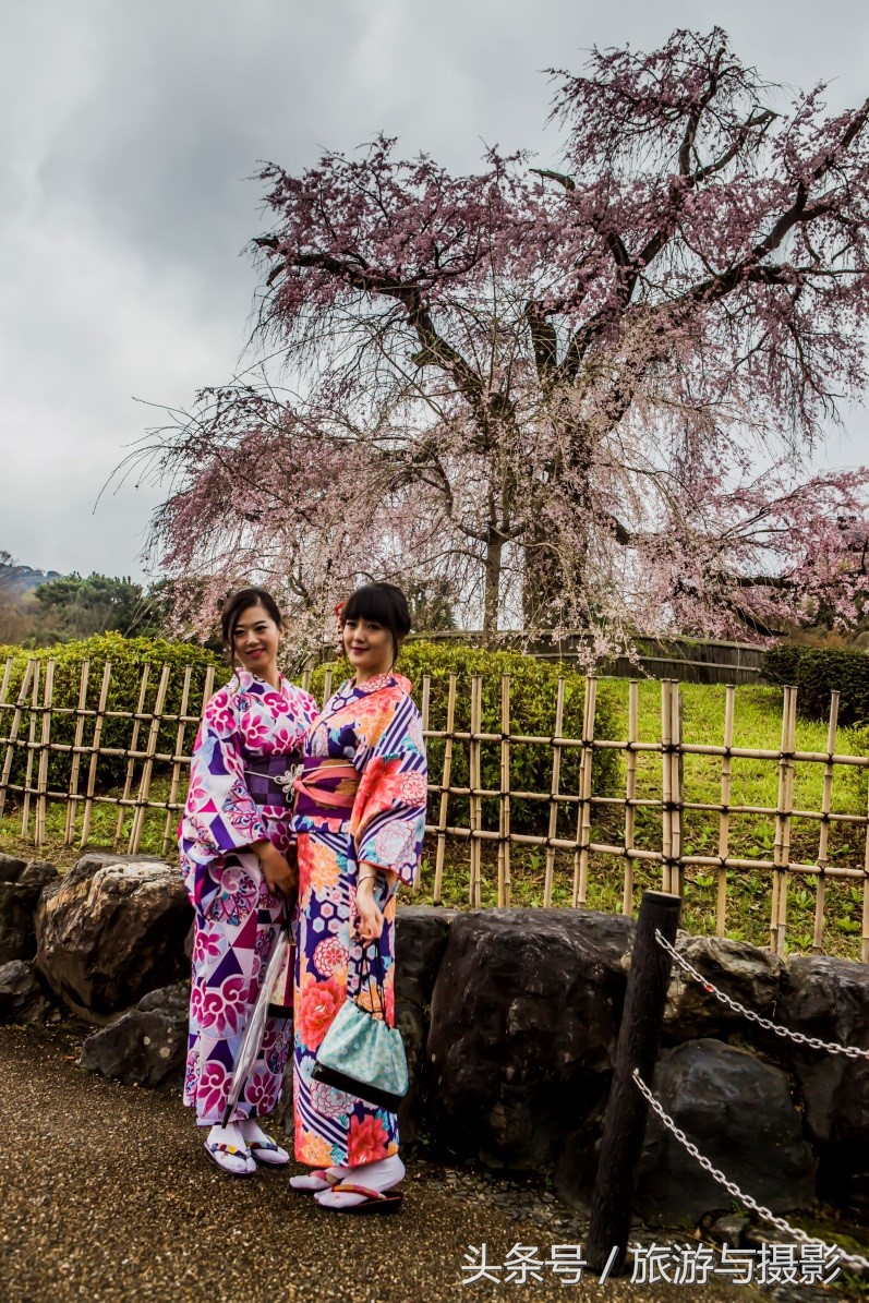 认识日本瓷器,认识日本国旗