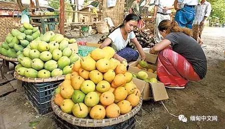 缅甸水果,缅甸边境水果