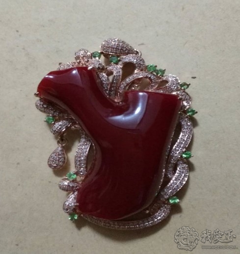 你印象中的珊瑚是怎么样的？关于价格看色的珊瑚究竟如何？来看看