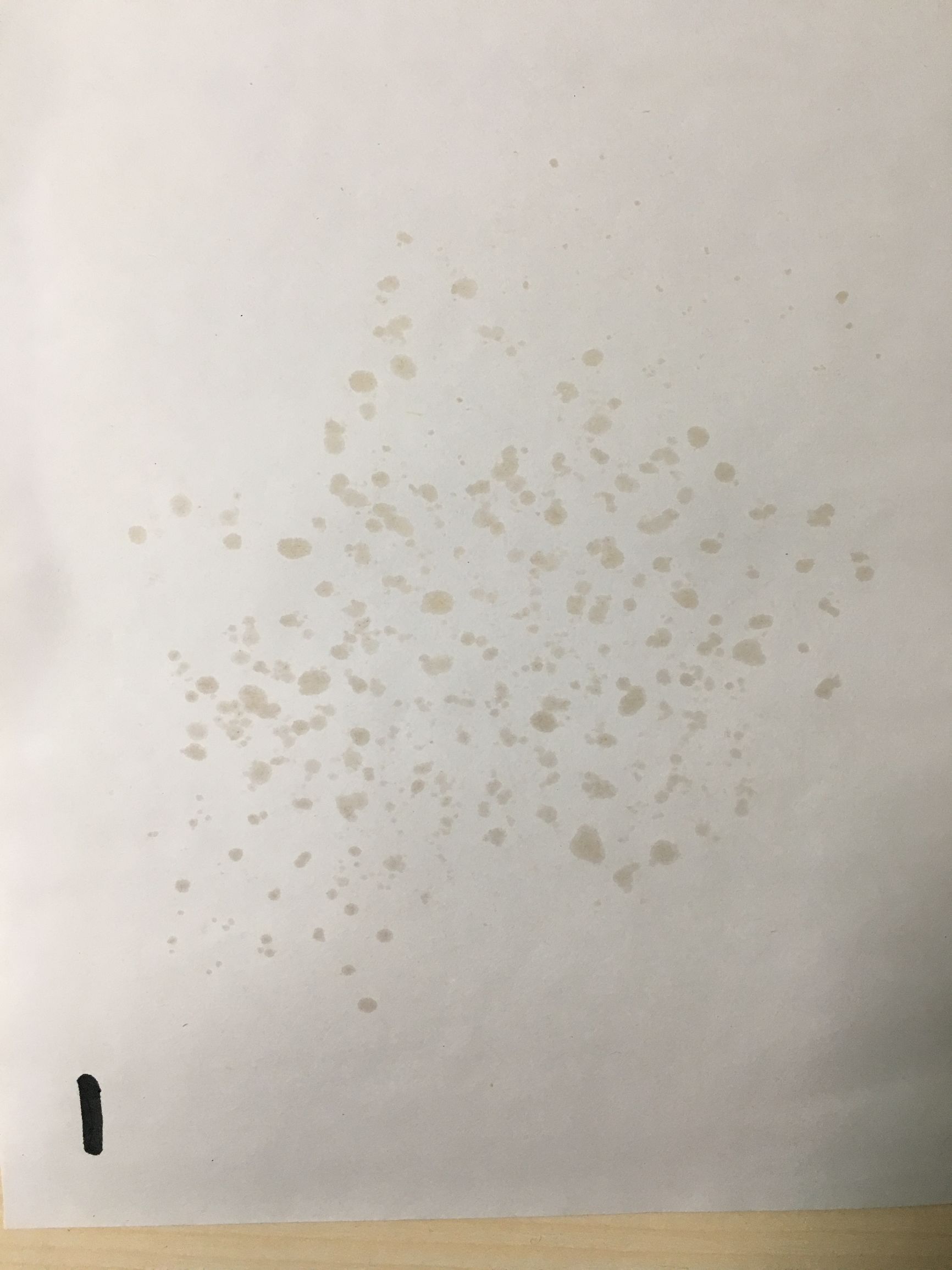 狗粮怎么选进口国产狗粮测评,进口国产狗粮测评