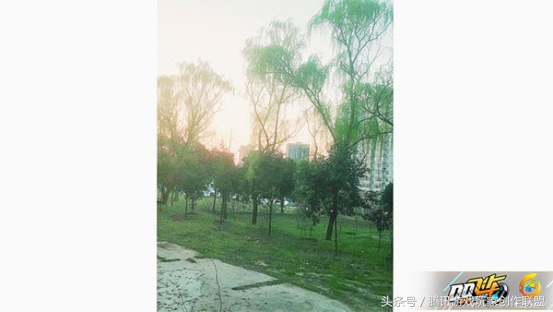 漂移学院-玩家故事:我和飞车的小故事