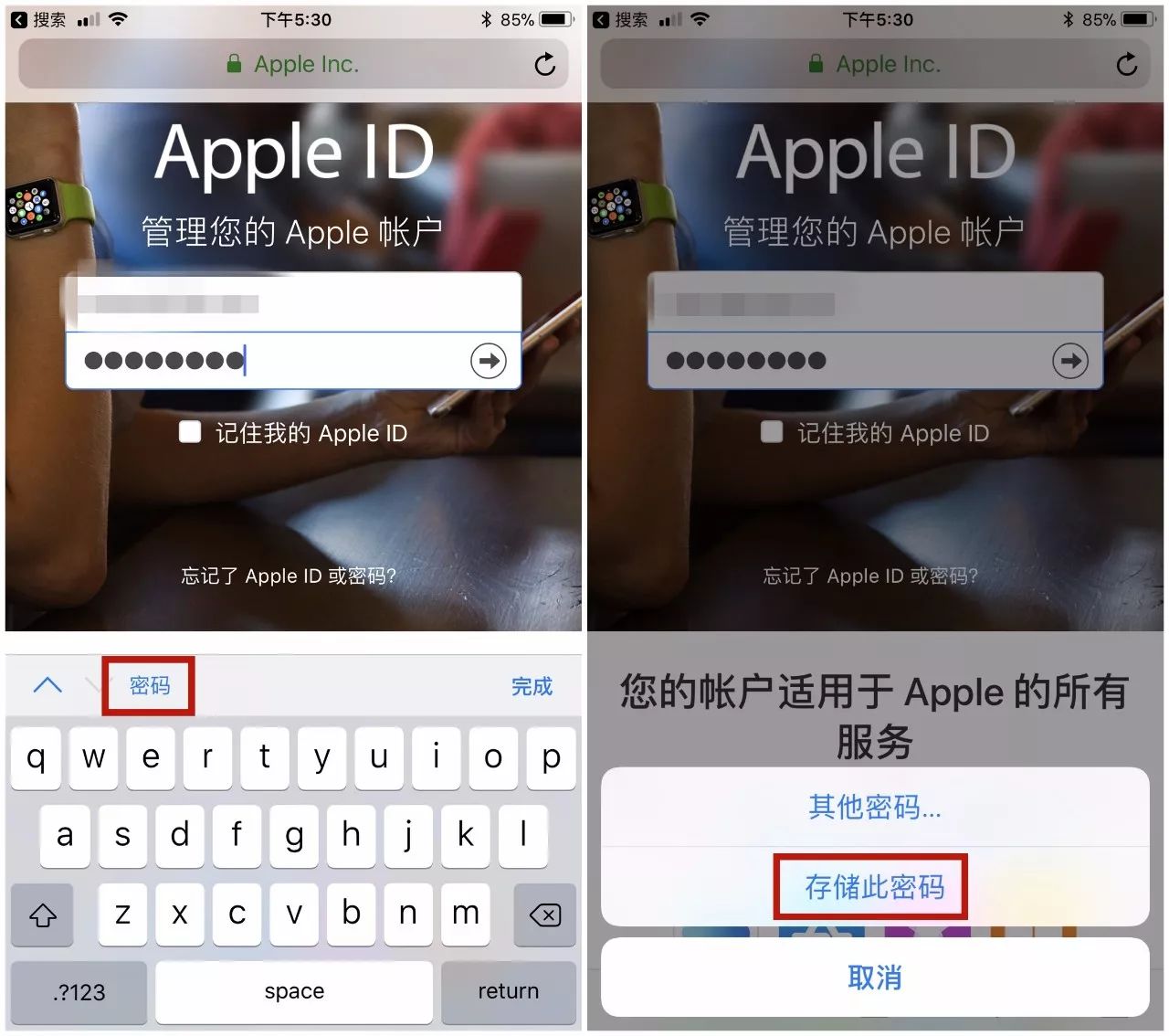 appleid点了忘了密码怎么办,appleid密码忘了怎么办10种方法