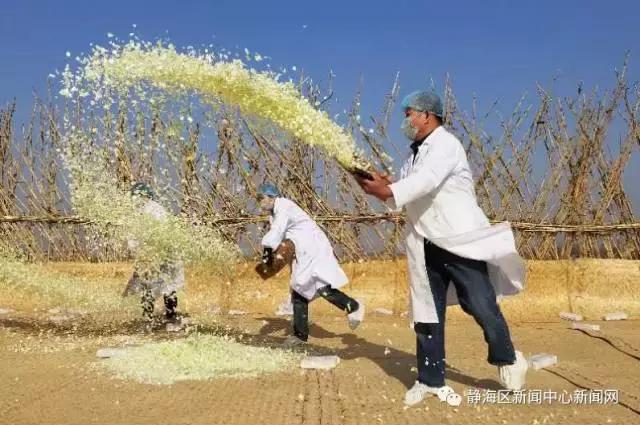 儿时的味道冬菜,年味冬菜