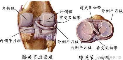 膝关节半月板损伤中医诊疗方案,中医治疗半月板损伤有绝招吗