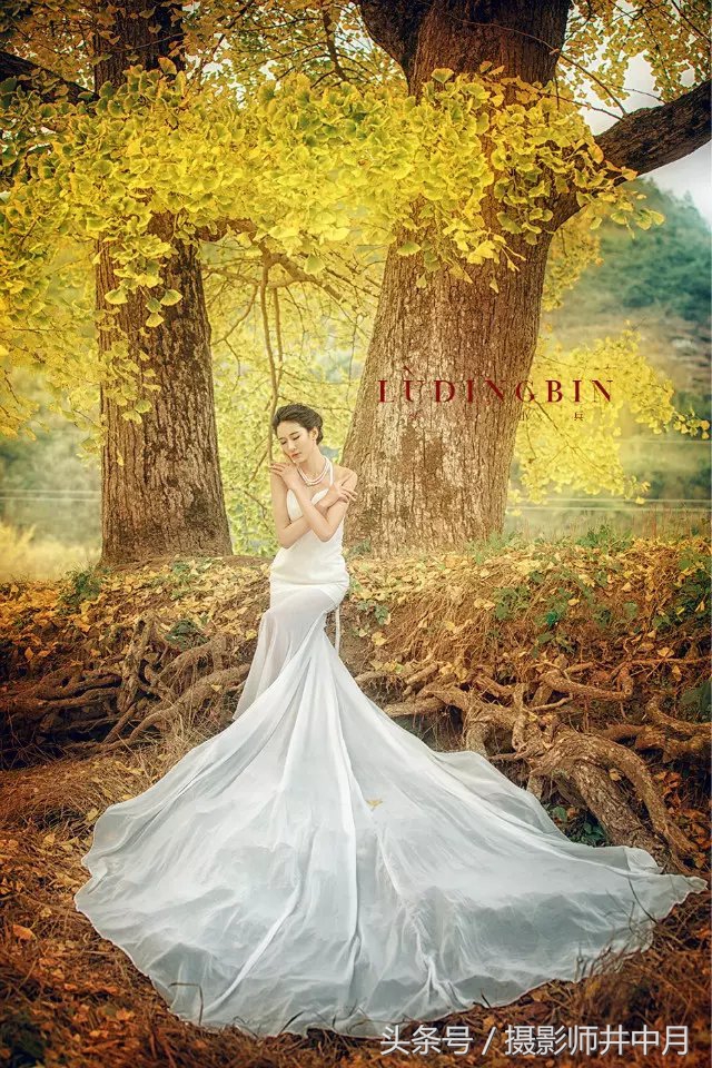 最好的摄影培训班排行榜,全国十大著名摄影培训机构电话