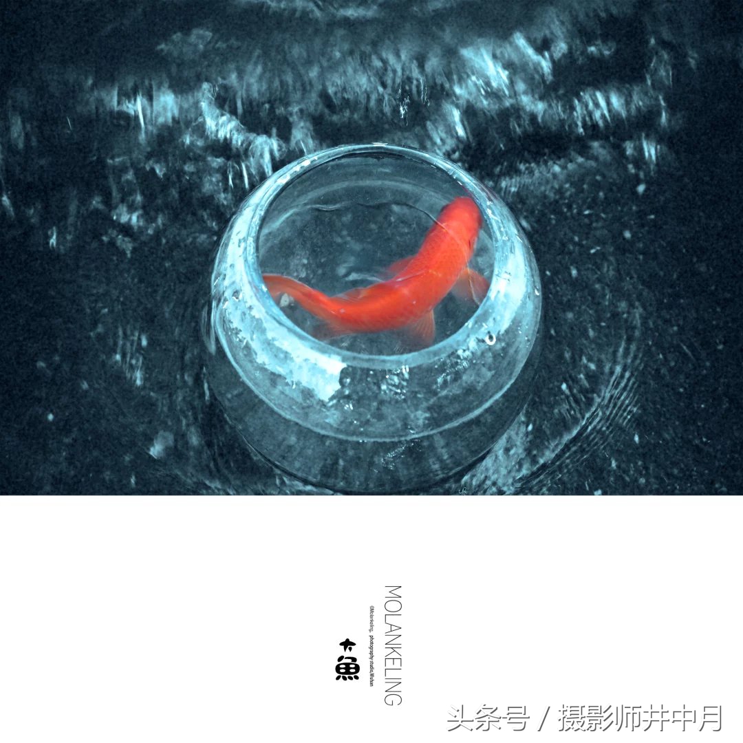 最好的摄影培训班排行榜,全国十大著名摄影培训机构电话