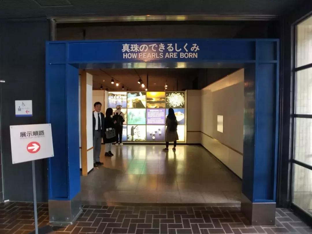 中北部升龙道深度游攻略,日本龙岛旅游攻略