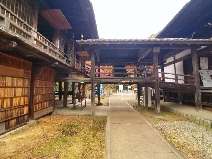 中北部升龙道深度游攻略,日本龙岛旅游攻略