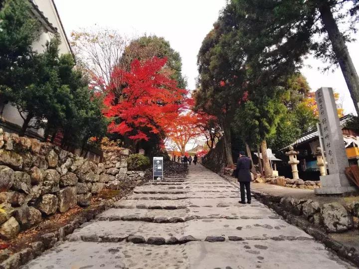 中北部升龙道深度游攻略,日本龙岛旅游攻略