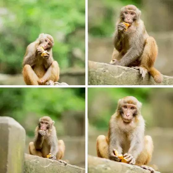 重庆市渝北区统景温泉风景区,统景温泉旅游资源