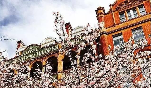 预备英村留学生，你们喜欢热门学校冷门专业还是热门专业冷门学校