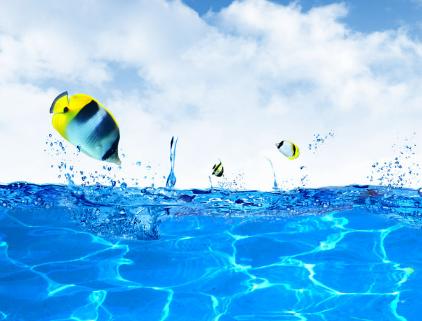 这5大生肖的人胖一点更有财气,给一个人带来财运的三大生肖