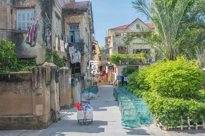 一起去厦门旅游攻略,旅游团厦门看海攻略