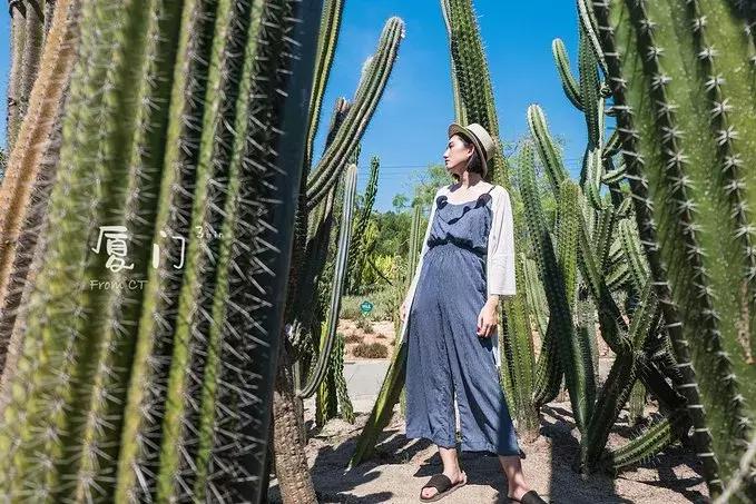 一起去厦门旅游攻略,旅游团厦门看海攻略