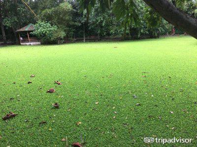 巴西南美大陆旅游,南美四国路线推荐