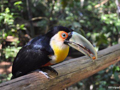 巴西南美大陆旅游,南美四国路线推荐