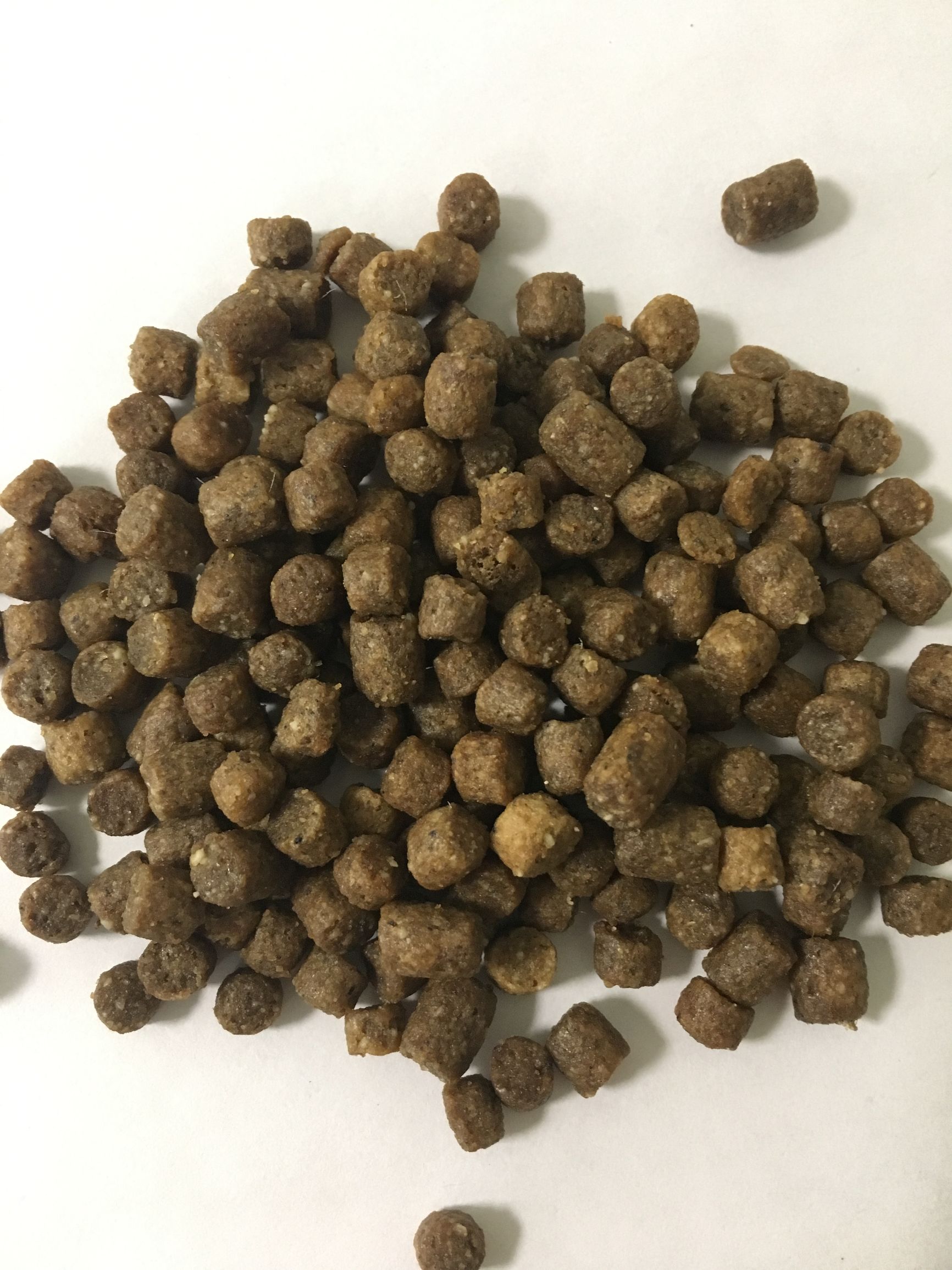 狗粮怎么选进口国产狗粮测评,进口国产狗粮测评