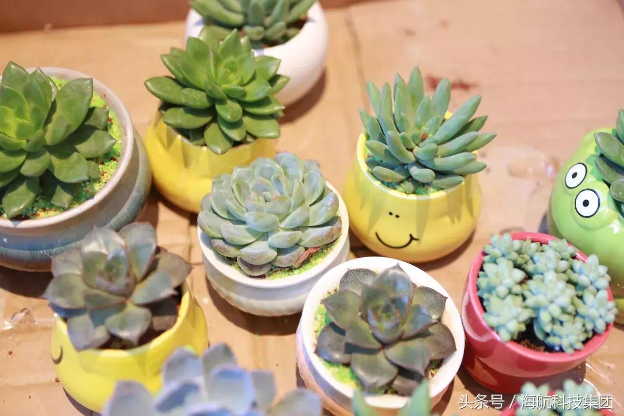 从零到一百感谢有你的陪伴,从0到1万粉丝感恩有你